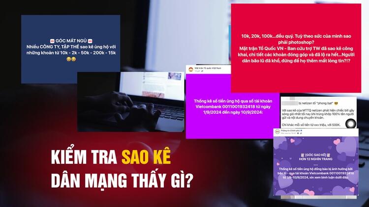 "GUIDE TO CHECKING VAR STATEMENTS OF THE VIETNAM FATHERLAND FRONT"