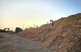 Acacia Wood Chips