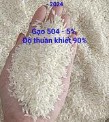 Rice Export