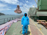 Full _ Bulk Ship Logistics