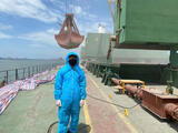 Full _ Bulk Ship Logistics