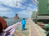 Full _ Bulk Ship Logistics