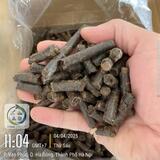 Cashew shell pellets