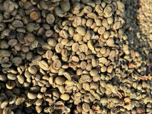Vietnam's Coffee