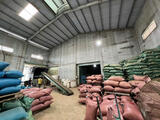 Vietnam's Coffee