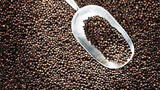 Vietnam's Pepper