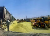 Sulfur