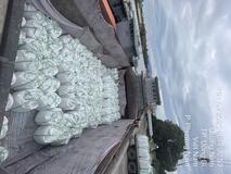 Cement