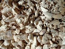 Sliced Cassava