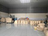 Cashew Nuts