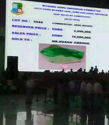 Raw Jadeite v2