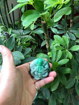 Green Apple Jadeite VIP