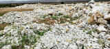 INDIA QUARTZ