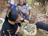 MYANMAR ANTIMONY