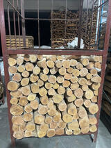 White Sandalwood (Santalum Album)