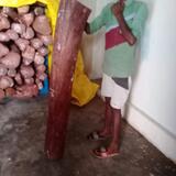 Red Sandalwood (Pterocarpus Santalinus)