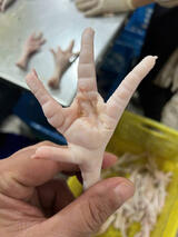 CHICKEN FEET_VAG