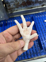 CHICKEN FEET_VAG