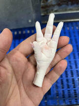 CHICKEN FEET_VAG