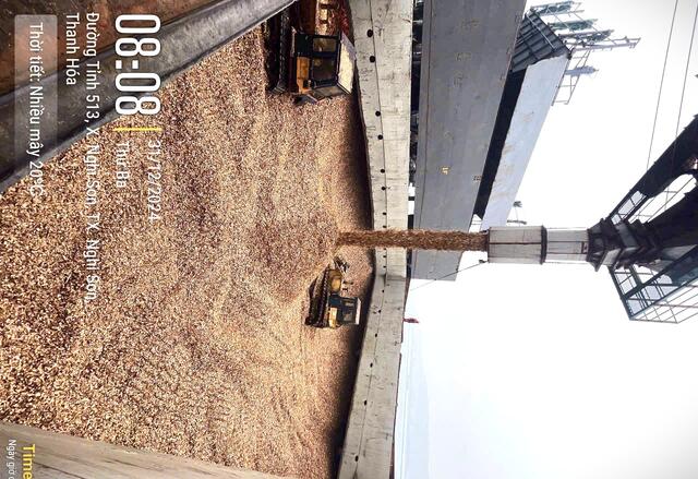 Acacia Wood Chips