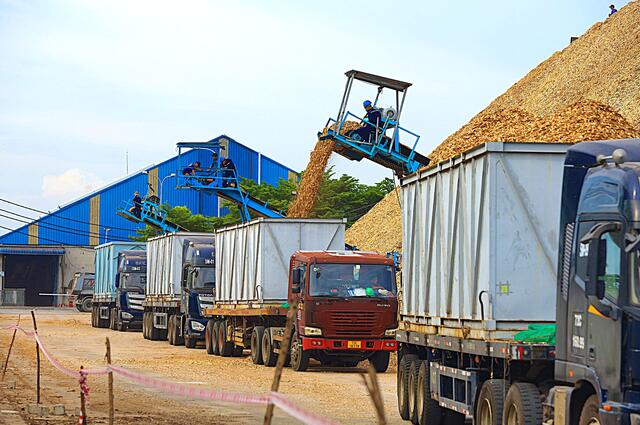 Acacia Wood Chips