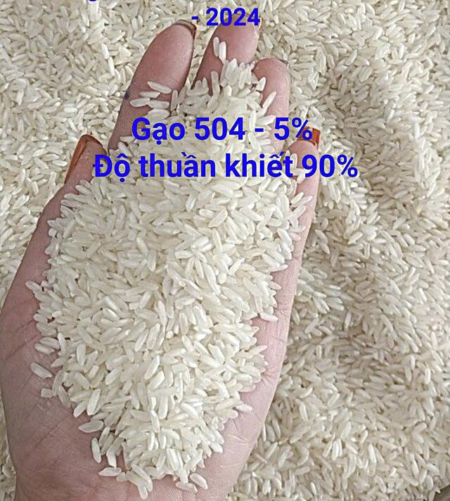 Rice Export