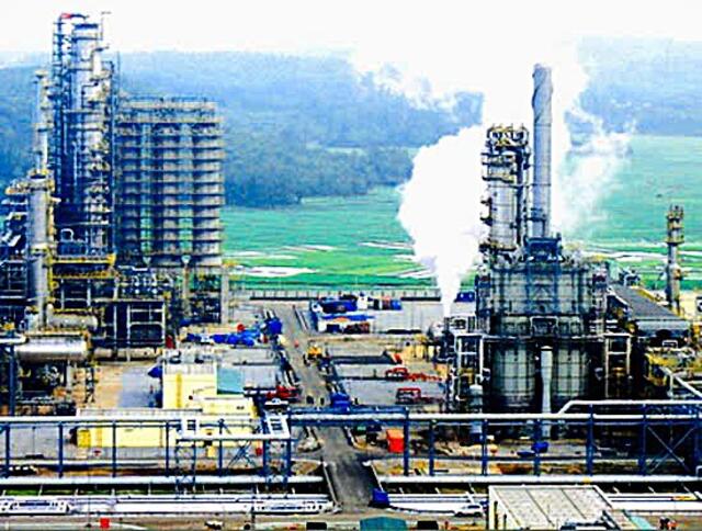 Petroleum 