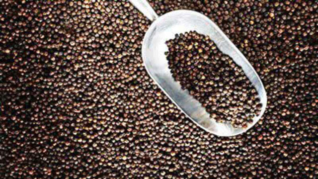 Vietnam's Pepper