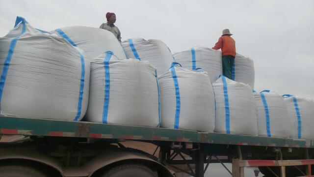 Cement