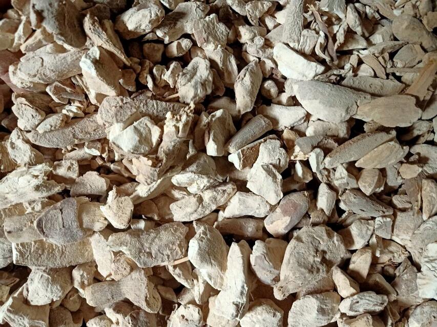 Sliced Cassava
