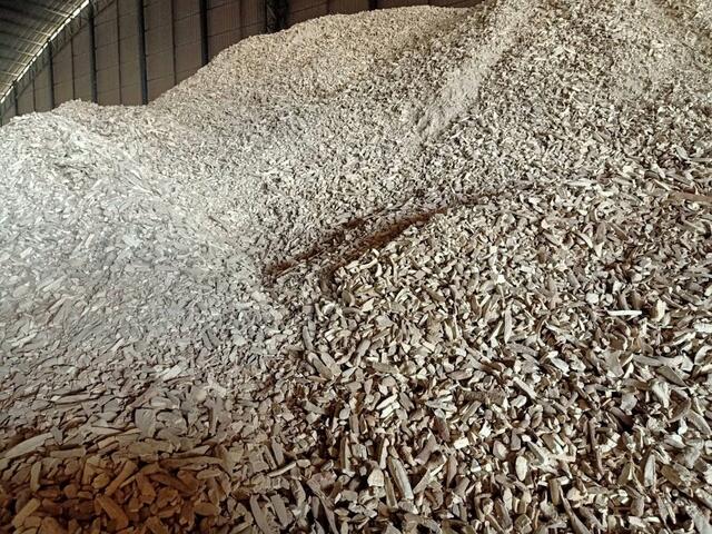 Sliced Cassava