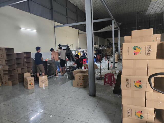 Cashew Nuts