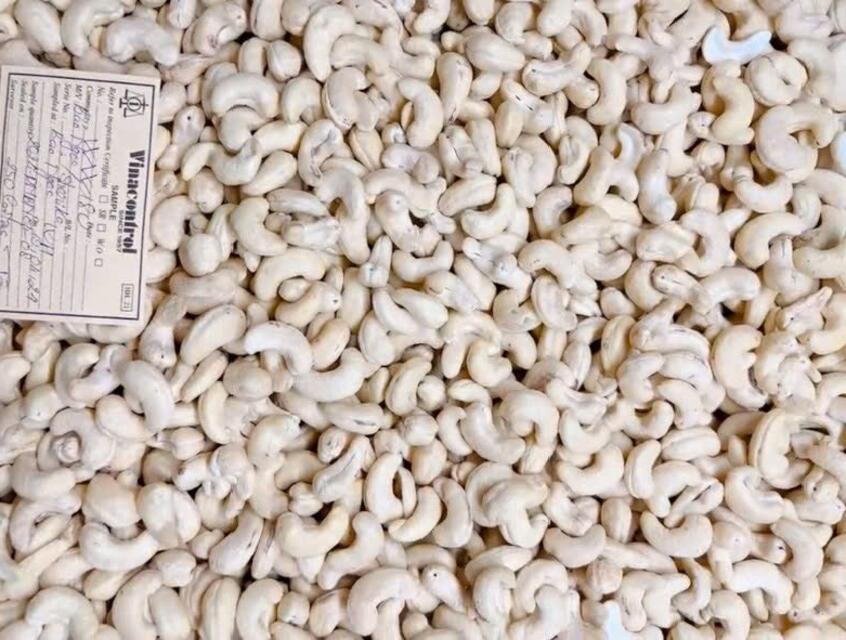 Cashew Nuts