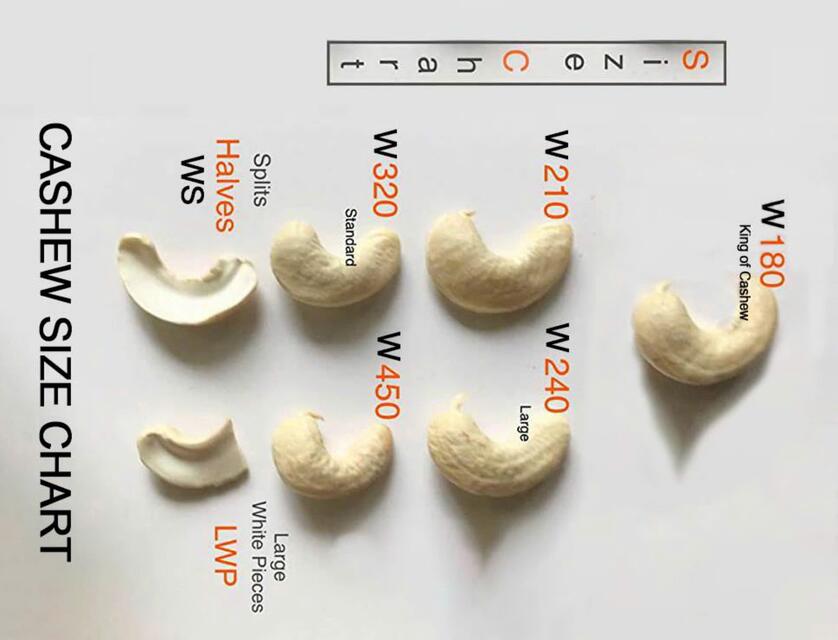 Cashew Nuts
