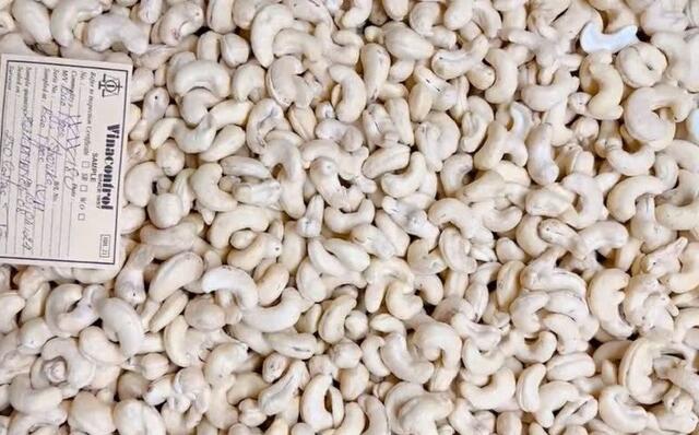 Cashew Nuts
