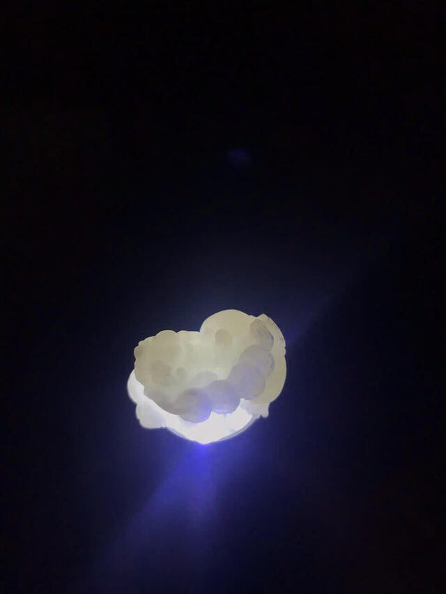 White Jadeite 