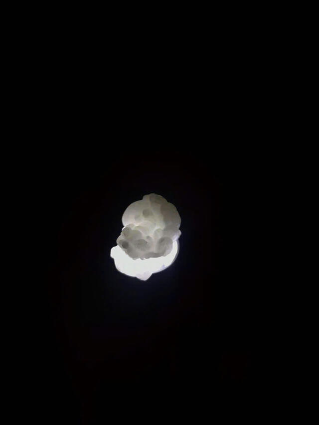 White Jadeite 
