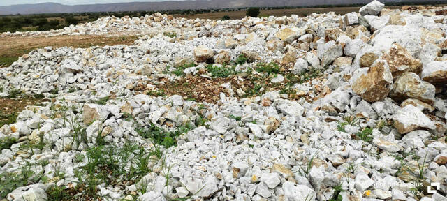 INDIA QUARTZ