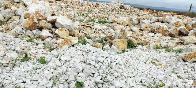 INDIA QUARTZ