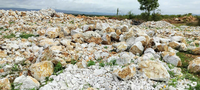 INDIA QUARTZ