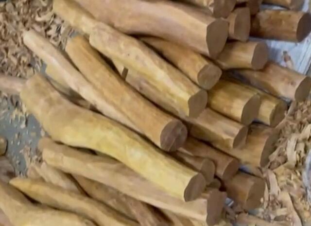 White Sandalwood (Santalum Album)