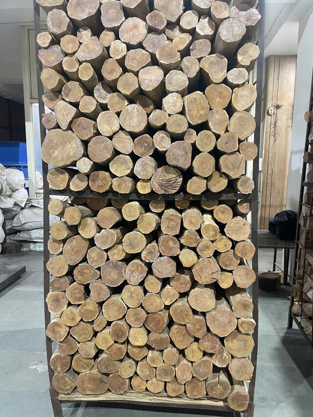 White Sandalwood (Santalum Album)