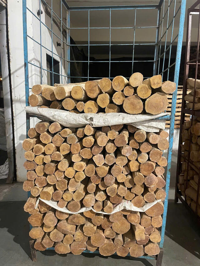 White Sandalwood (Santalum Album)