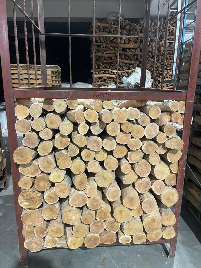 White Sandalwood (Santalum Album)