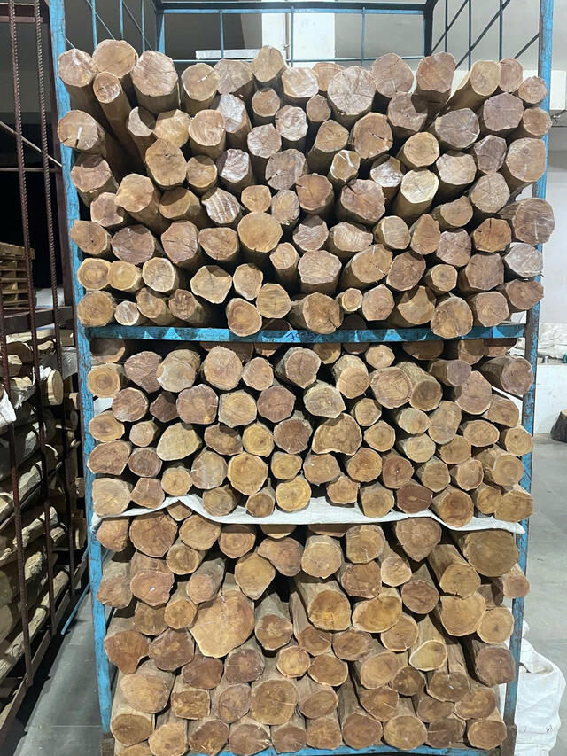 White Sandalwood (Santalum Album)