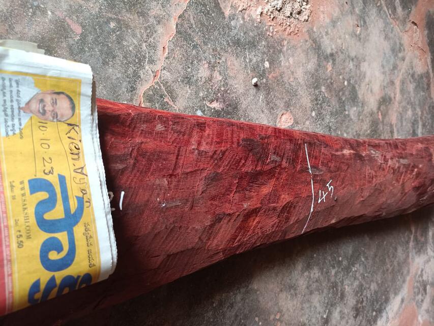 Red Sandalwood (Pterocarpus Santalinus)