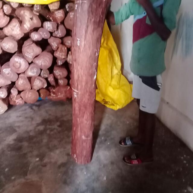 Red Sandalwood (Pterocarpus Santalinus)