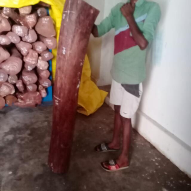 Red Sandalwood (Pterocarpus Santalinus)