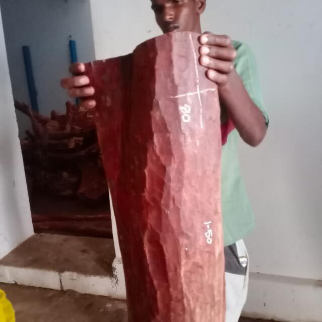 Red Sandalwood (Pterocarpus Santalinus)