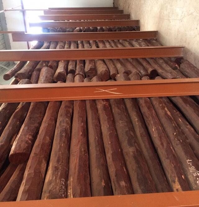 Red Sandalwood (Pterocarpus Santalinus)